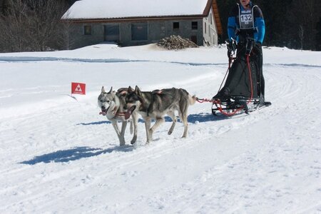 La Pesse 2014  Course de chiens de traineau  (dimanche 09/03/2014), IMG_4739