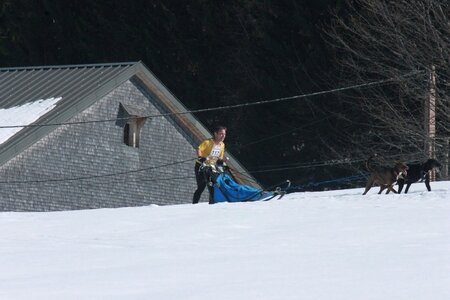 La Pesse 2014  Course de chiens de traineau  (dimanche 09/03/2014), IMG_4742