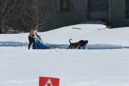 La Pesse 2014  Course de chiens de traineau  (dimanche 09/03/2014), IMG_4744