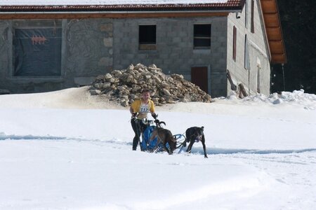 La Pesse 2014  Course de chiens de traineau  (dimanche 09/03/2014), IMG_4745