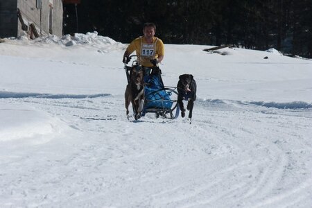 La Pesse 2014  Course de chiens de traineau  (dimanche 09/03/2014), IMG_4746