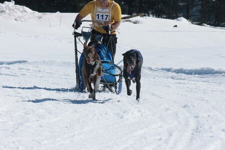 La Pesse 2014  Course de chiens de traineau  (dimanche 09/03/2014), IMG_4747