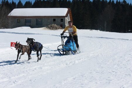 La Pesse 2014  Course de chiens de traineau  (dimanche 09/03/2014), IMG_4750