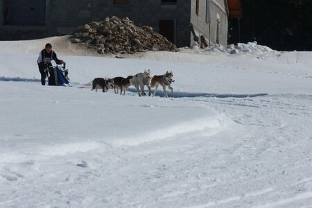 La Pesse 2014  Course de chiens de traineau  (dimanche 09/03/2014), IMG_4757