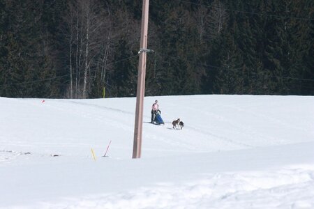 La Pesse 2014  Course de chiens de traineau  (dimanche 09/03/2014), IMG_4767