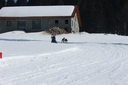 La Pesse 2014  Course de chiens de traineau  (dimanche 09/03/2014), IMG_4771