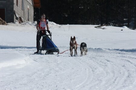 La Pesse 2014  Course de chiens de traineau  (dimanche 09/03/2014), IMG_4772