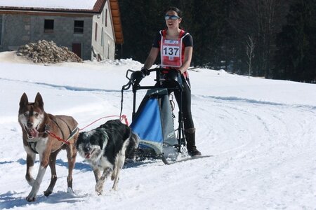 La Pesse 2014  Course de chiens de traineau  (dimanche 09/03/2014), IMG_4777