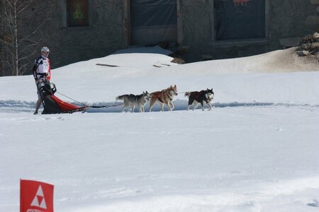 La Pesse 2014  Course de chiens de traineau  (dimanche 09/03/2014), IMG_4781