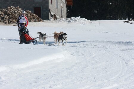 La Pesse 2014  Course de chiens de traineau  (dimanche 09/03/2014), IMG_4782