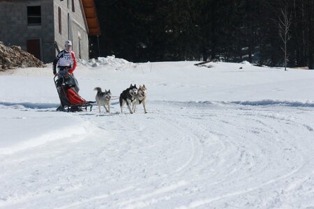 La Pesse 2014  Course de chiens de traineau  (dimanche 09/03/2014), IMG_4783