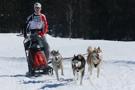 La Pesse 2014  Course de chiens de traineau  (dimanche 09/03/2014), IMG_4786