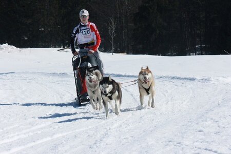 La Pesse 2014  Course de chiens de traineau  (dimanche 09/03/2014), IMG_4787