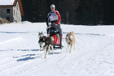 La Pesse 2014  Course de chiens de traineau  (dimanche 09/03/2014), IMG_4788