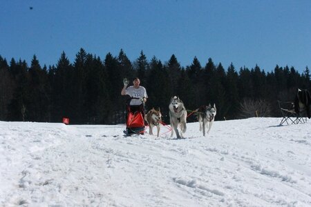 La Pesse 2014  Course de chiens de traineau  (dimanche 09/03/2014), IMG_4793