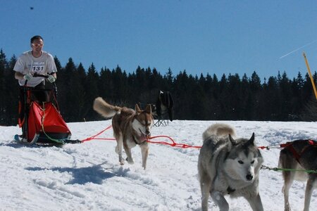 La Pesse 2014  Course de chiens de traineau  (dimanche 09/03/2014), IMG_4795