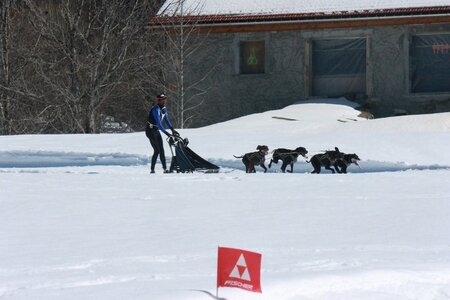La Pesse 2014  Course de chiens de traineau  (dimanche 09/03/2014), IMG_4799