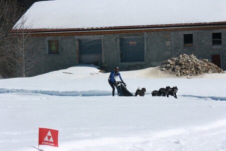 La Pesse 2014  Course de chiens de traineau  (dimanche 09/03/2014), IMG_4800