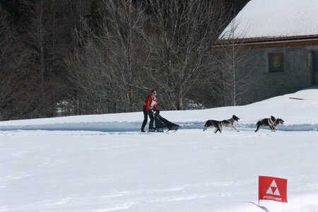 La Pesse 2014  Course de chiens de traineau  (dimanche 09/03/2014), IMG_4801