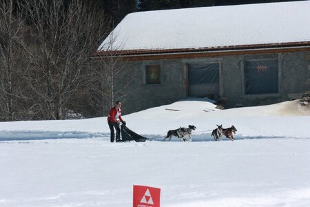 La Pesse 2014  Course de chiens de traineau  (dimanche 09/03/2014), IMG_4802