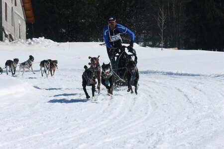 La Pesse 2014  Course de chiens de traineau  (dimanche 09/03/2014), IMG_4804