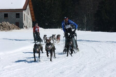 La Pesse 2014  Course de chiens de traineau  (dimanche 09/03/2014), IMG_4805