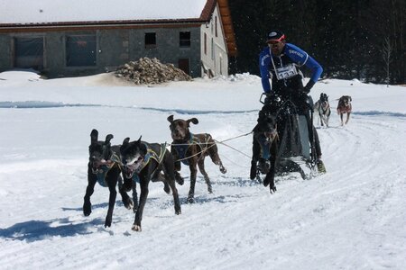 La Pesse 2014  Course de chiens de traineau  (dimanche 09/03/2014), IMG_4806