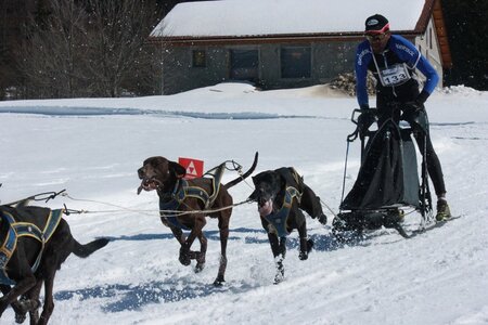 La Pesse 2014  Course de chiens de traineau  (dimanche 09/03/2014), IMG_4807