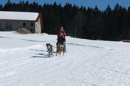 La Pesse 2014  Course de chiens de traineau  (dimanche 09/03/2014), IMG_4809