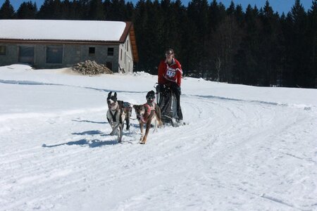 La Pesse 2014  Course de chiens de traineau  (dimanche 09/03/2014), IMG_4810