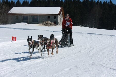 La Pesse 2014  Course de chiens de traineau  (dimanche 09/03/2014), IMG_4811