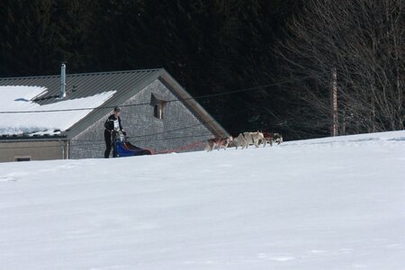 La Pesse 2014  Course de chiens de traineau  (dimanche 09/03/2014), IMG_4814