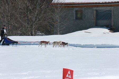 La Pesse 2014  Course de chiens de traineau  (dimanche 09/03/2014), IMG_4815