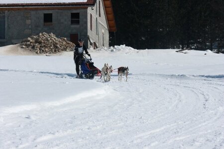 La Pesse 2014  Course de chiens de traineau  (dimanche 09/03/2014), IMG_4816