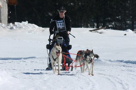 La Pesse 2014  Course de chiens de traineau  (dimanche 09/03/2014), IMG_4817