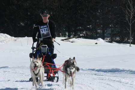 La Pesse 2014  Course de chiens de traineau  (dimanche 09/03/2014), IMG_4818