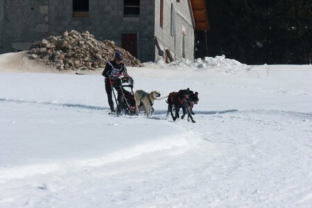 La Pesse 2014  Course de chiens de traineau  (dimanche 09/03/2014), IMG_4822