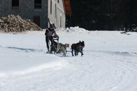La Pesse 2014  Course de chiens de traineau  (dimanche 09/03/2014), IMG_4823