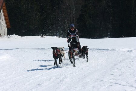 La Pesse 2014  Course de chiens de traineau  (dimanche 09/03/2014), IMG_4826