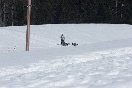 La Pesse 2014  Course de chiens de traineau  (dimanche 09/03/2014), IMG_4830