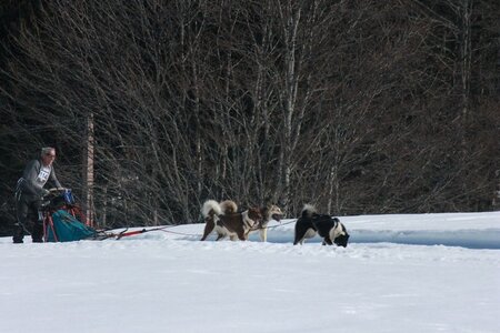 La Pesse 2014  Course de chiens de traineau  (dimanche 09/03/2014), IMG_4832
