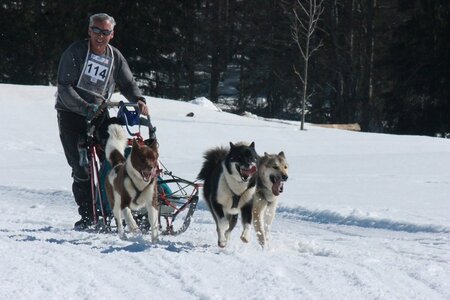 La Pesse 2014  Course de chiens de traineau  (dimanche 09/03/2014), IMG_4835