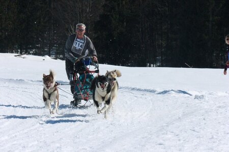 La Pesse 2014  Course de chiens de traineau  (dimanche 09/03/2014), IMG_4837