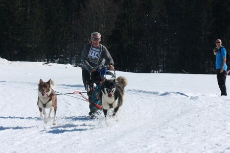 La Pesse 2014  Course de chiens de traineau  (dimanche 09/03/2014), IMG_4838
