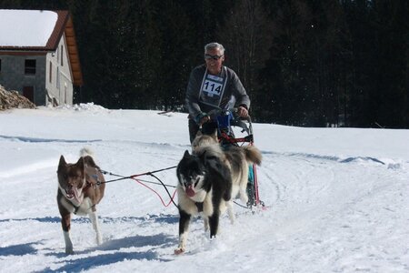 La Pesse 2014  Course de chiens de traineau  (dimanche 09/03/2014), IMG_4839