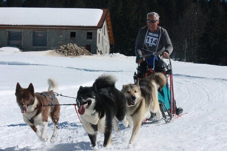 La Pesse 2014  Course de chiens de traineau  (dimanche 09/03/2014), IMG_4840