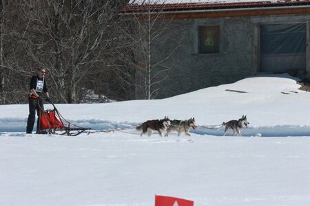 La Pesse 2014  Course de chiens de traineau  (dimanche 09/03/2014), IMG_4843