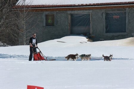 La Pesse 2014  Course de chiens de traineau  (dimanche 09/03/2014), IMG_4844