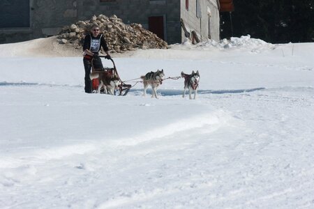 La Pesse 2014  Course de chiens de traineau  (dimanche 09/03/2014), IMG_4845
