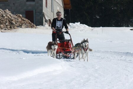 La Pesse 2014  Course de chiens de traineau  (dimanche 09/03/2014), IMG_4846